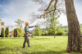 Geneva, WA Tree Removal and Landscaping Services Company